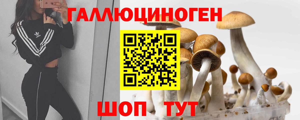 Галлюциногенные грибы мицелий Губаха